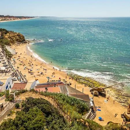 Monte Da Vinha I Daire